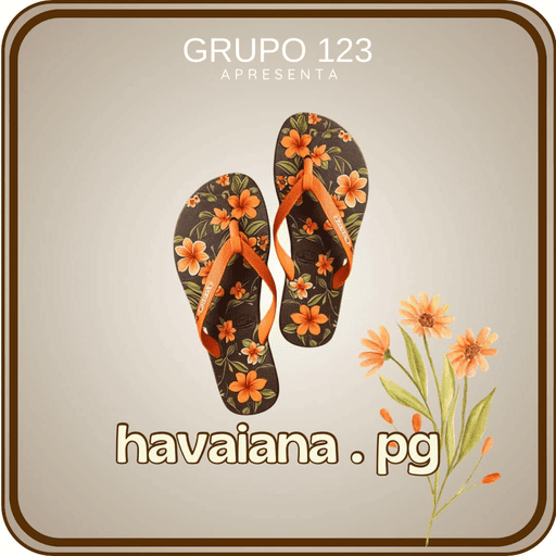 Imagem promocional da HAVAIANAPG mostrando a plataforma e suas vantagens