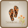 Logo da HAVAIANAPG